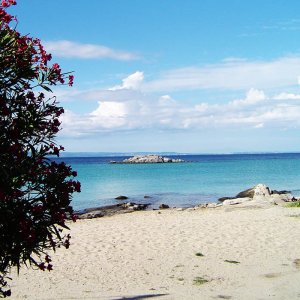 Kalogria beach a Sithonia